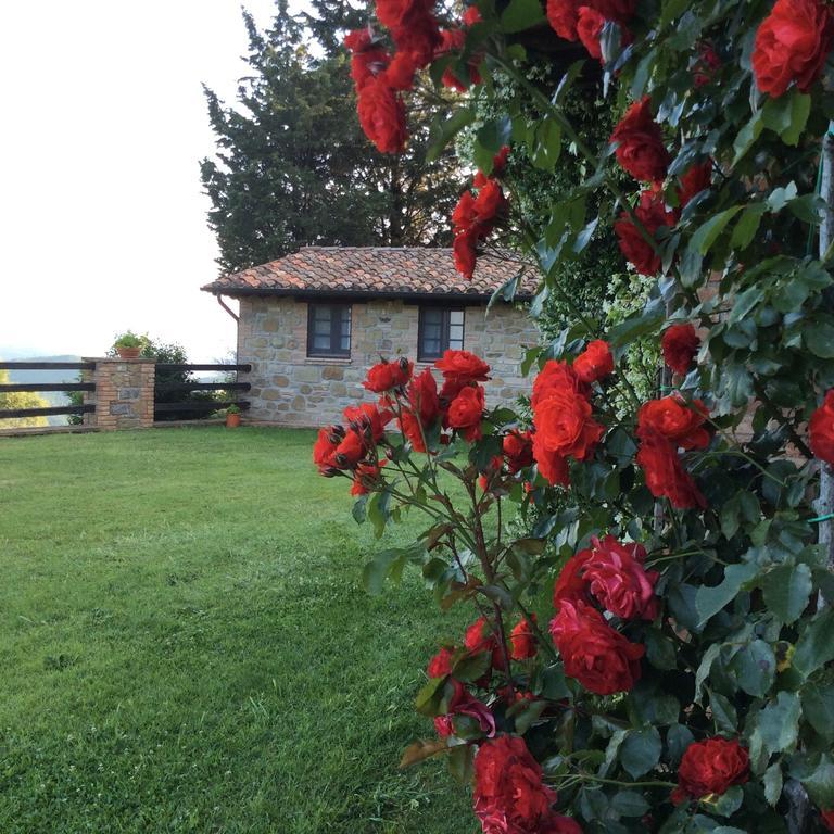 Agriturismo La Bicocca - Apt. "Il Leccio" 카스텔리고네 객실 사진